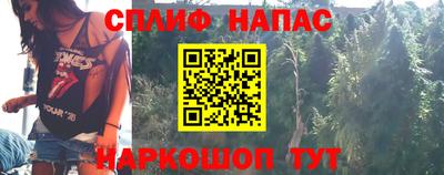 прущие грибы Уссурийск