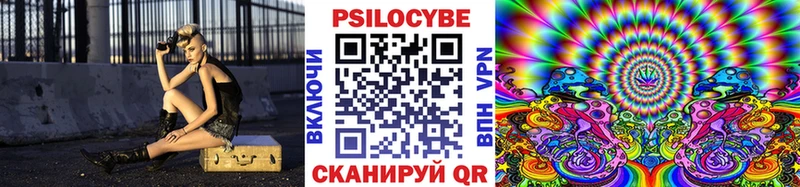 купить закладку  Новокубанск  Псилоцибиновые грибы прущие грибы 