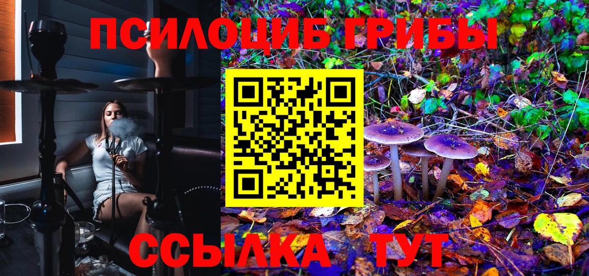Псилоцибиновые грибы Psilocybine cubensis Новокубанск