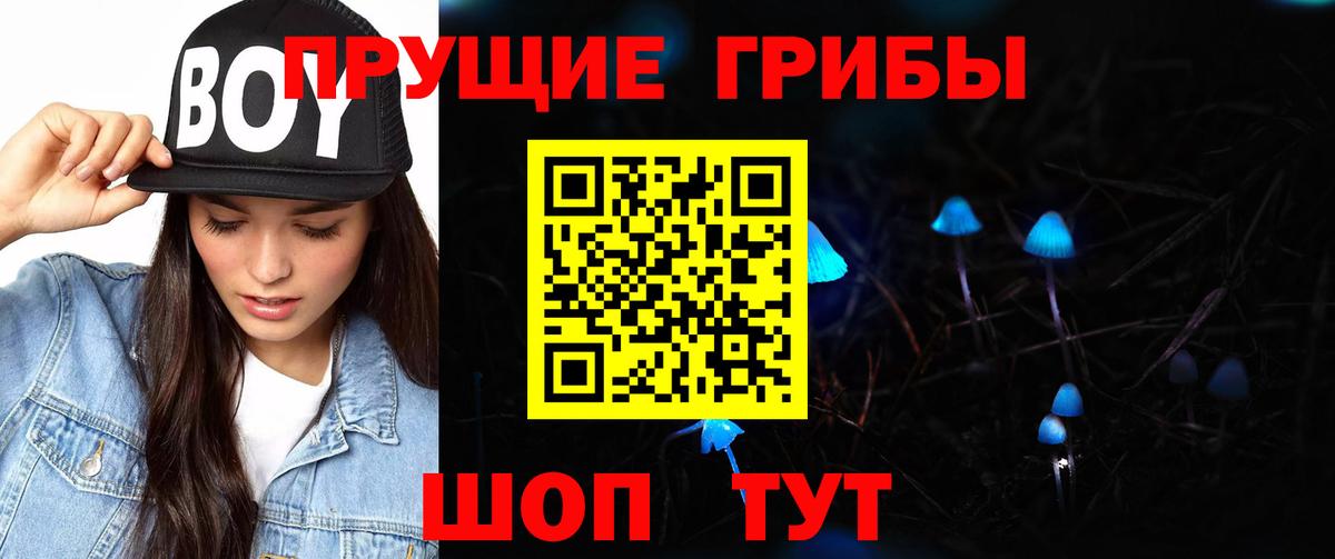 Галлюциногенные грибы Cubensis  Псилоцибиновые грибы прущие грибы  Новокубанск  Вход с VPN 
