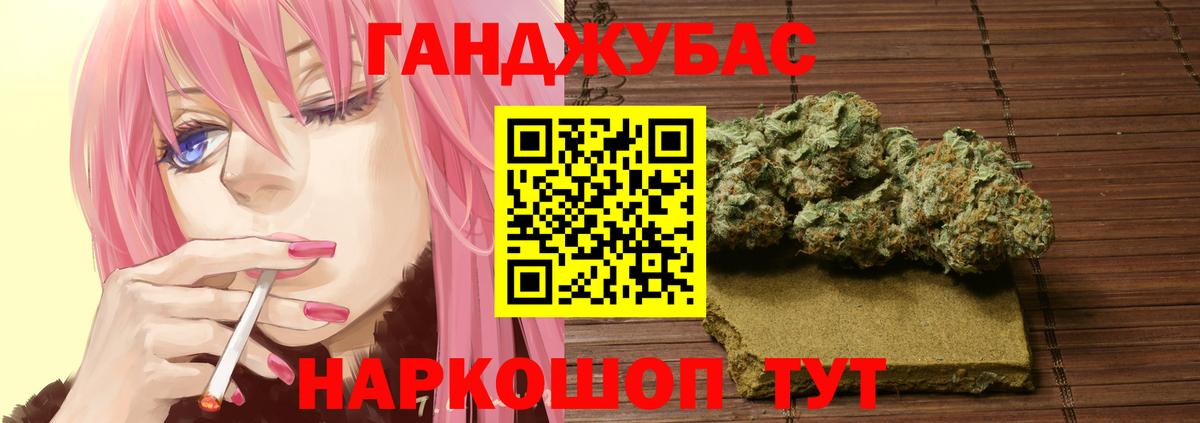 Каннабис сатива Новокубанск